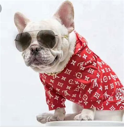 louis vuitton dog clothes inspired.